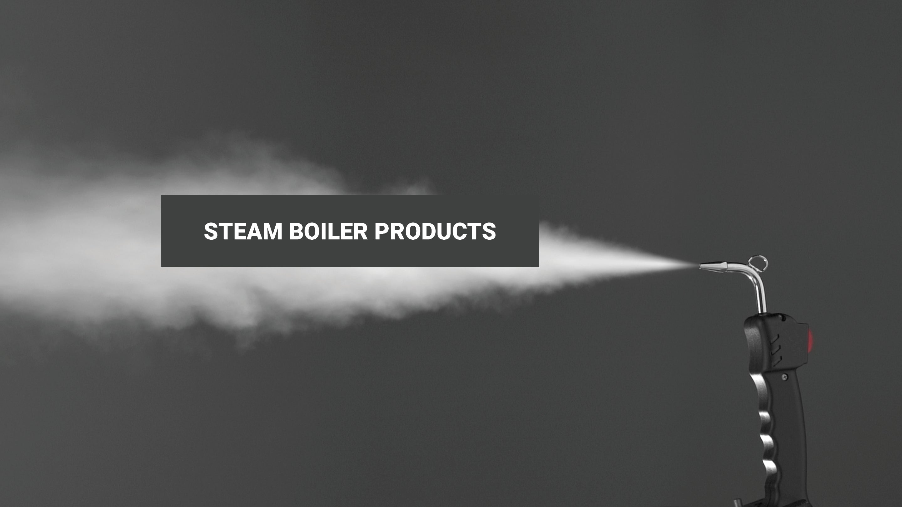 Steam Boiler Products
