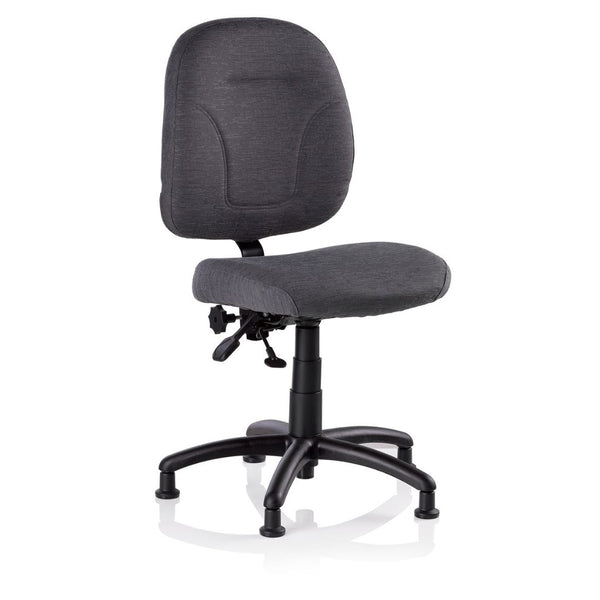 WEB限定デザイン Reliable SewErgo 200SE Ergonomic Task Chair Made in Canada with  Adjustable ＿並行輸入品